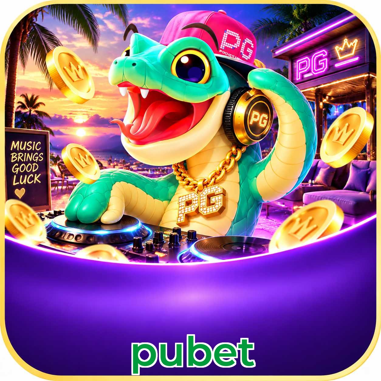 pubet Security