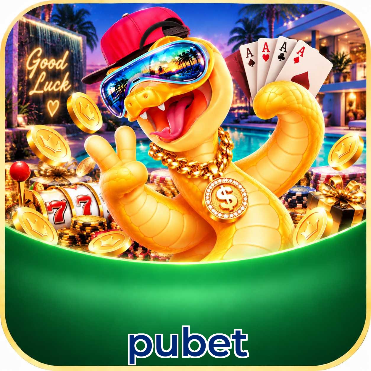 pubet App Features