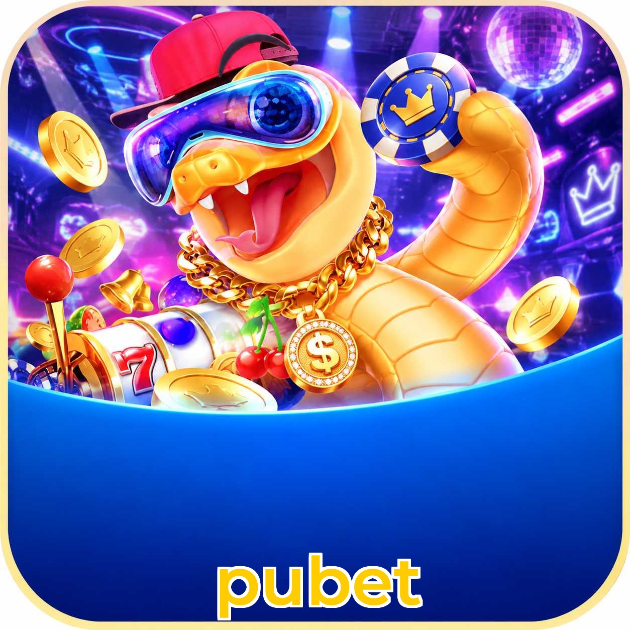 pubet Installation Guide