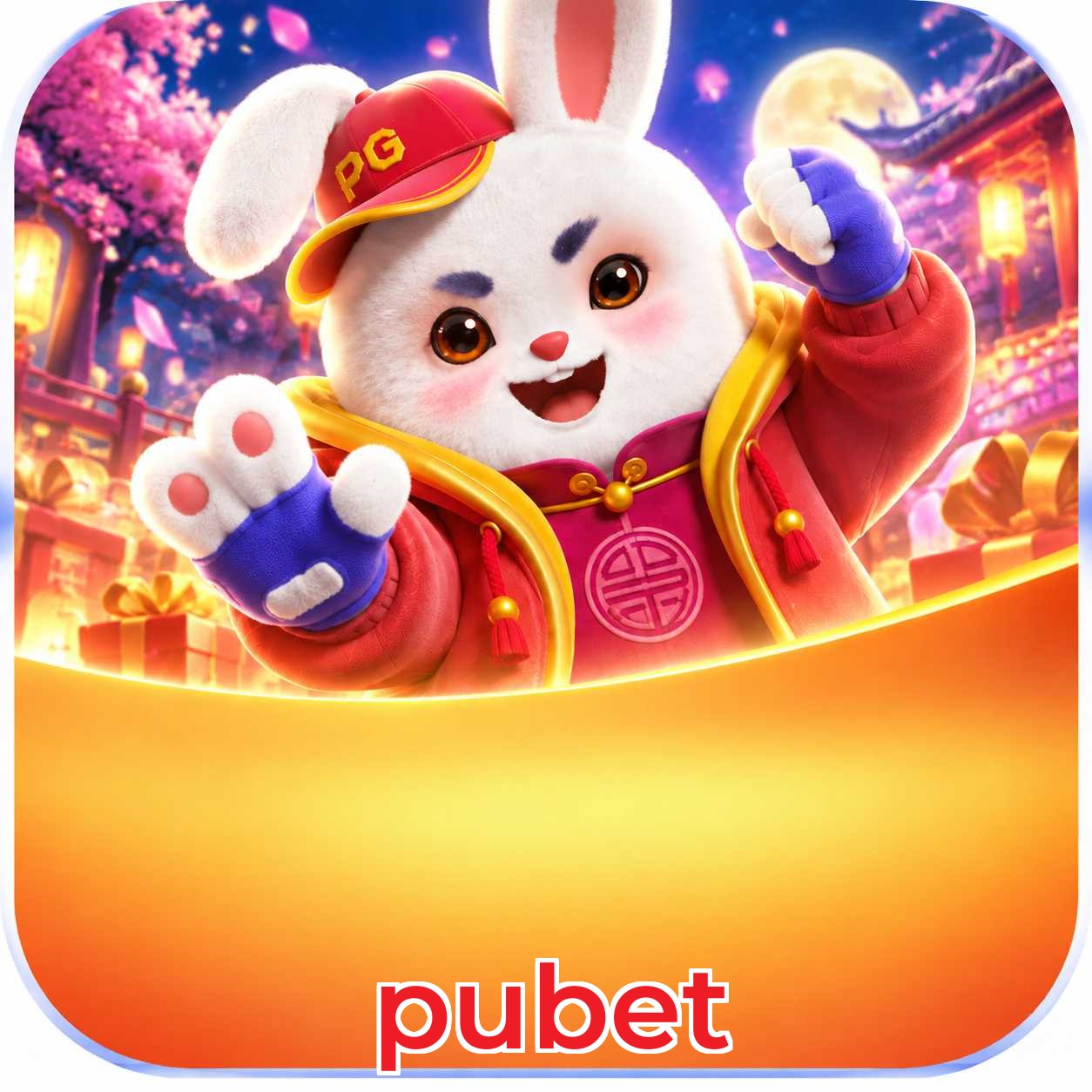 pubet Interface